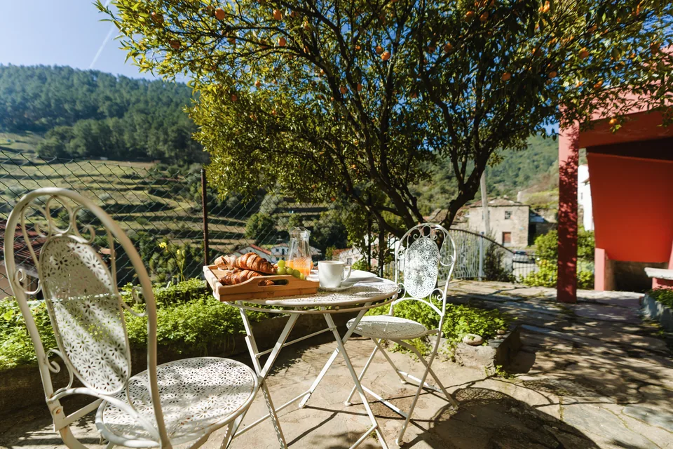 Breakfast table beneath trees with house and terraced slopes visible